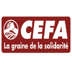 Plan de travail – 14